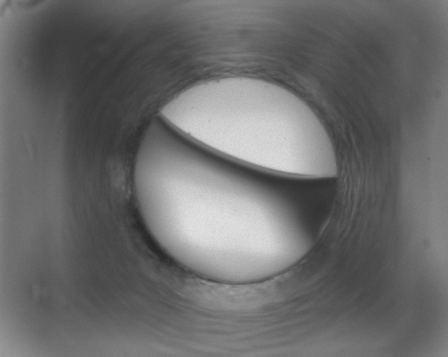 X0000069790031200605190855