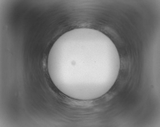 X0000069790032200605190855