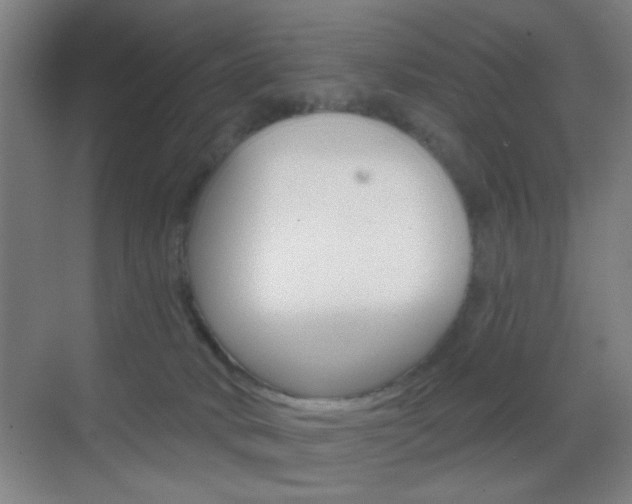 X0000069790034200605190855