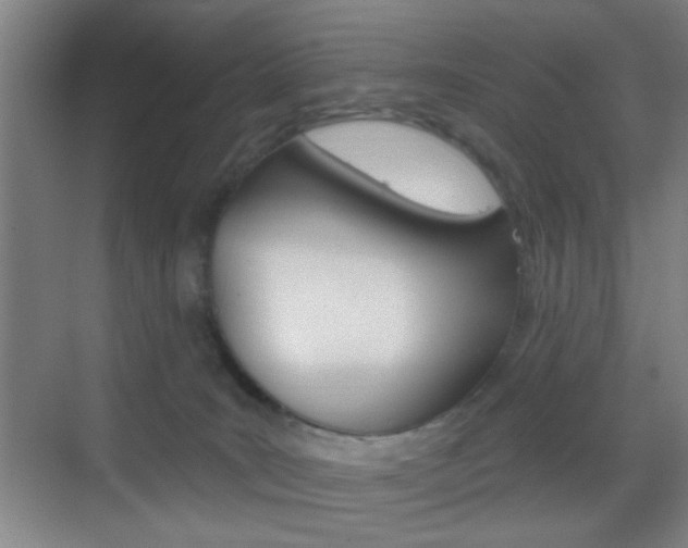 X0000069790035200605190855