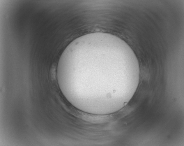 X0000069790036200605190855