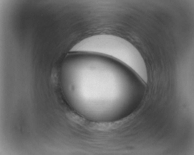 X0000069790037200605190855