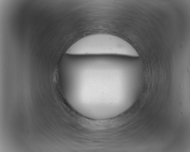 X0000069790038200605190855