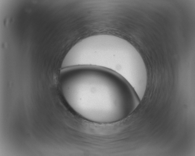 X0000069790039200605190855