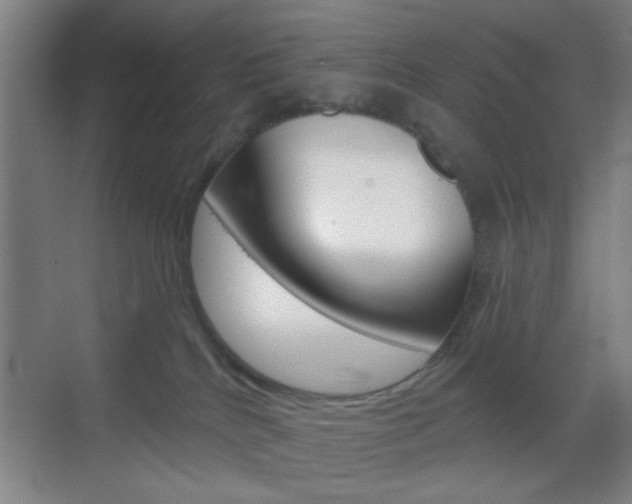 X0000069790040200605190855