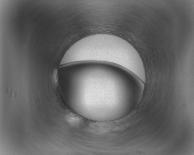 X0000069790041200605190855