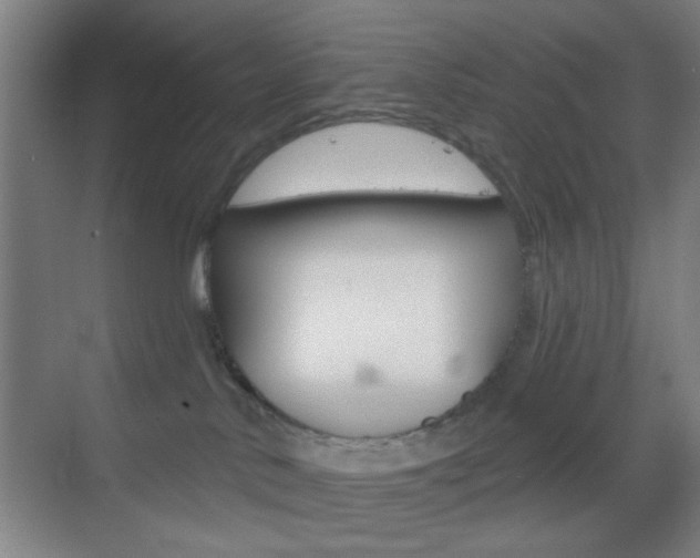 X0000069790042200605190855