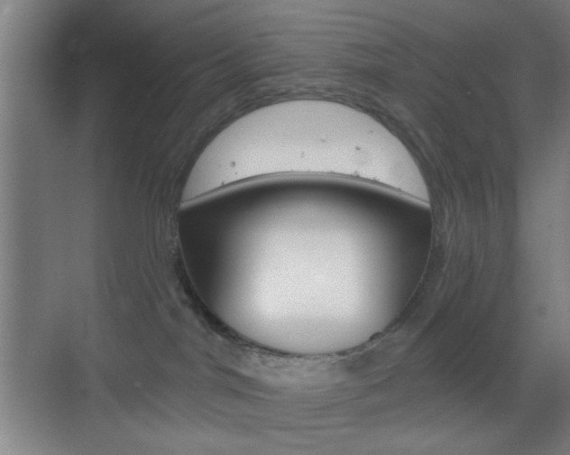 X0000069790044200605190855