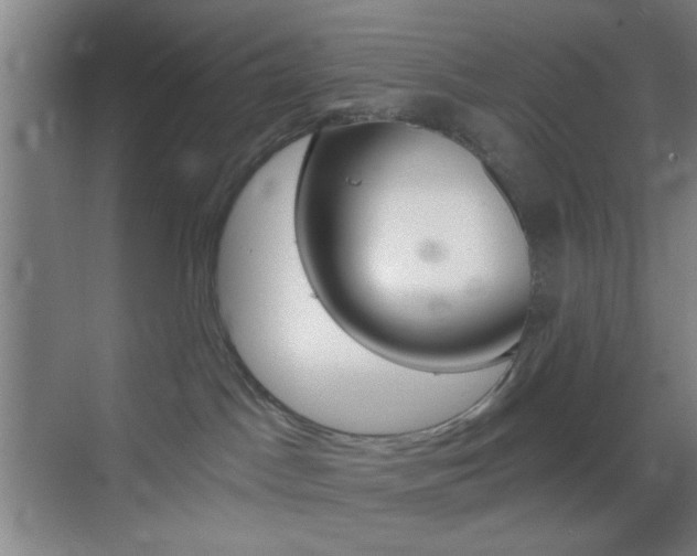 X0000069790045200605190855