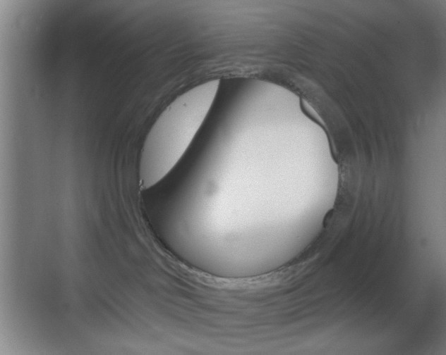 X0000069790046200605190855