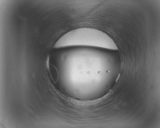 X0000069790047200605190855