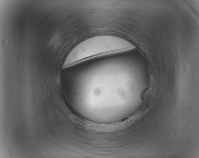 X0000069790048200605190855