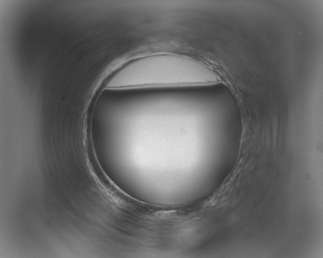 X0000069790054200605190854