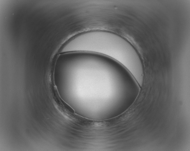 X0000069790060200605190854