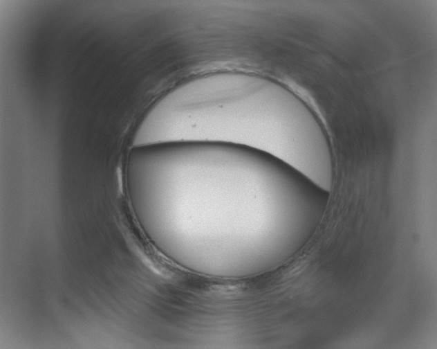 X0000069790061200605190854