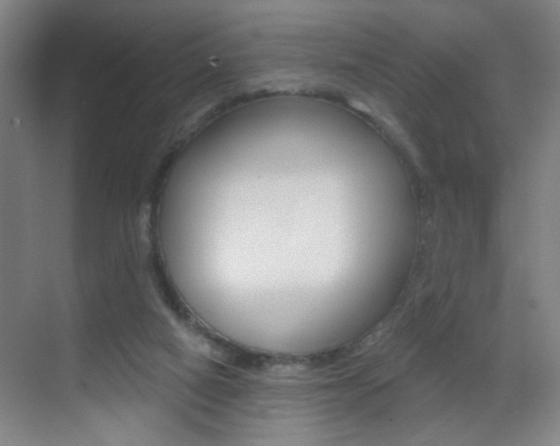 X0000069790066200605190854
