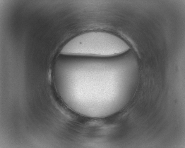 X0000069790067200605190854