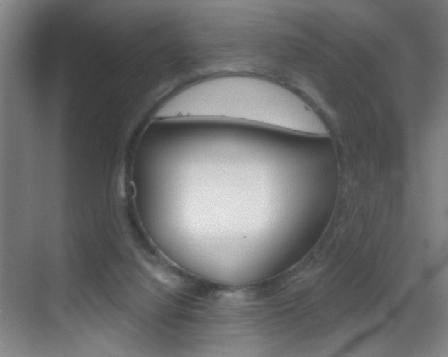 X0000069790068200605190854