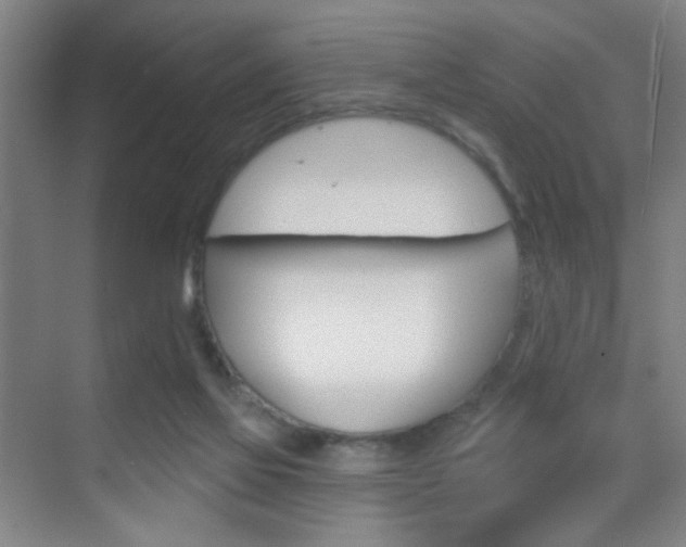 X0000069790069200605190854