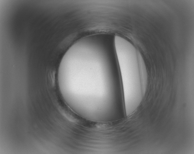 X0000069790070200605190854