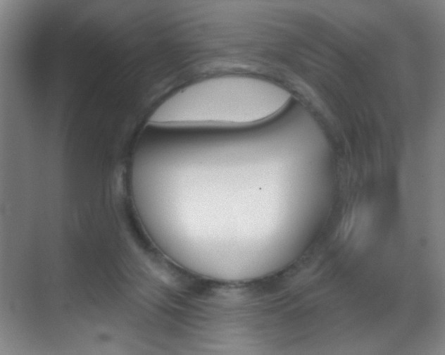 X0000069790071200605190854