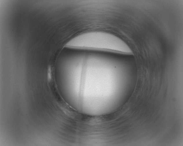 X0000069790075200605190854