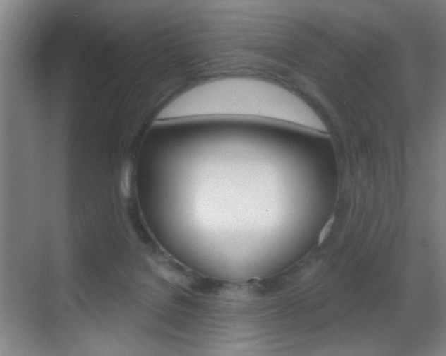 X0000069790076200605190854