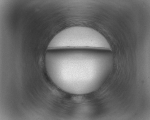 X0000069790079200605190854