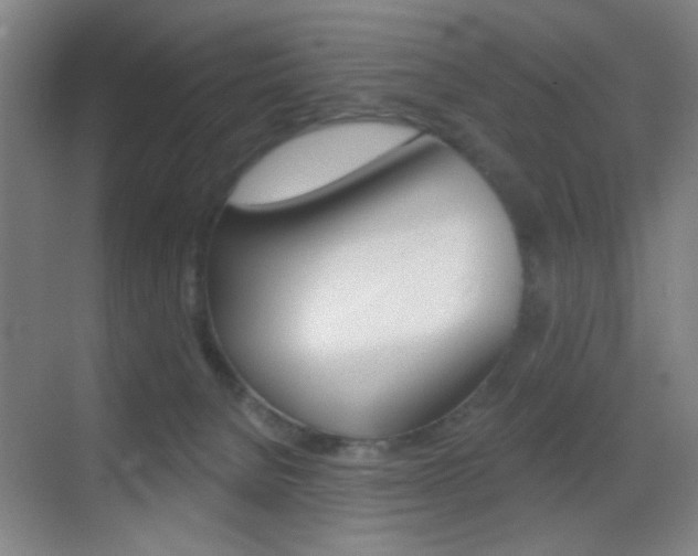 X0000069790080200605190854