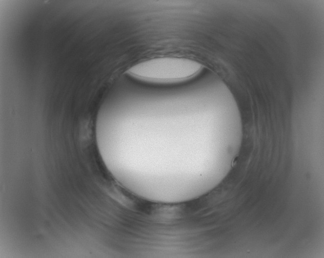 X0000069790081200605190855