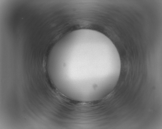 X0000069790082200605190855