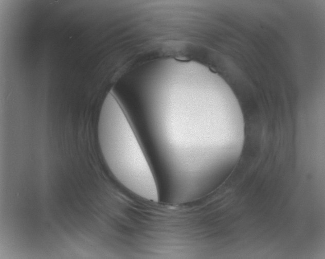 X0000069790083200605190855