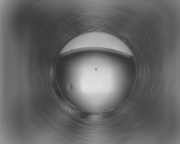 X0000069790084200605190855