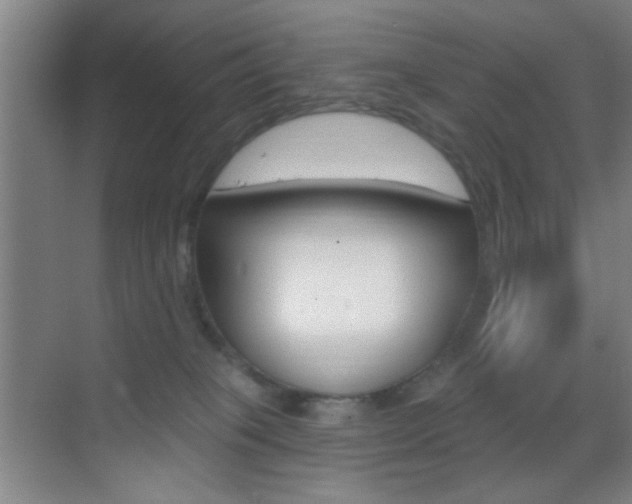 X0000069790085200605190855