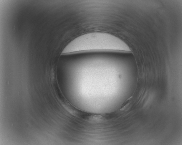 X0000069790086200605190855