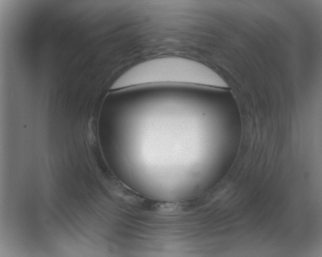 X0000069790088200605190855