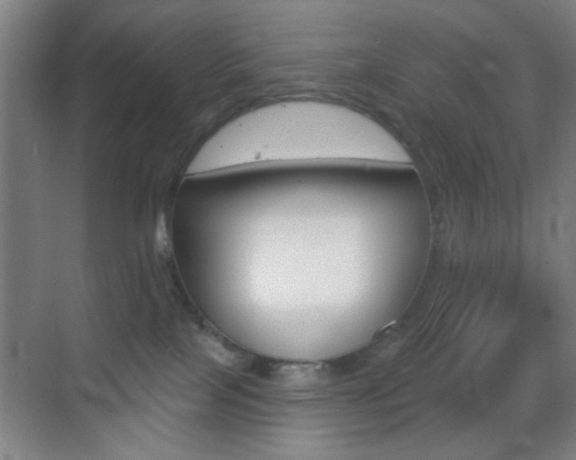 X0000069790089200605190855