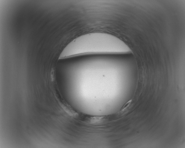 X0000069790090200605190855