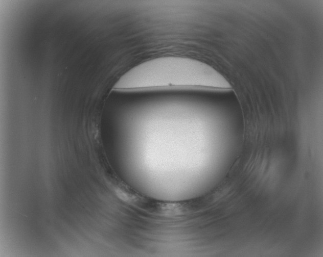 X0000069790091200605190855