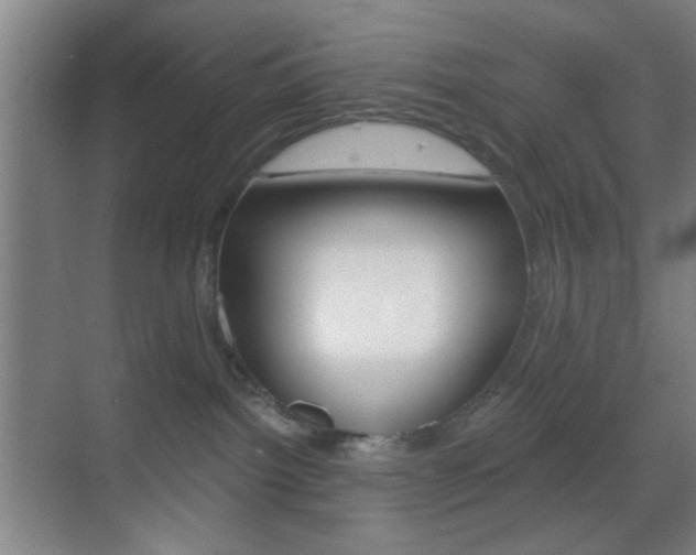 X0000069790092200605190855