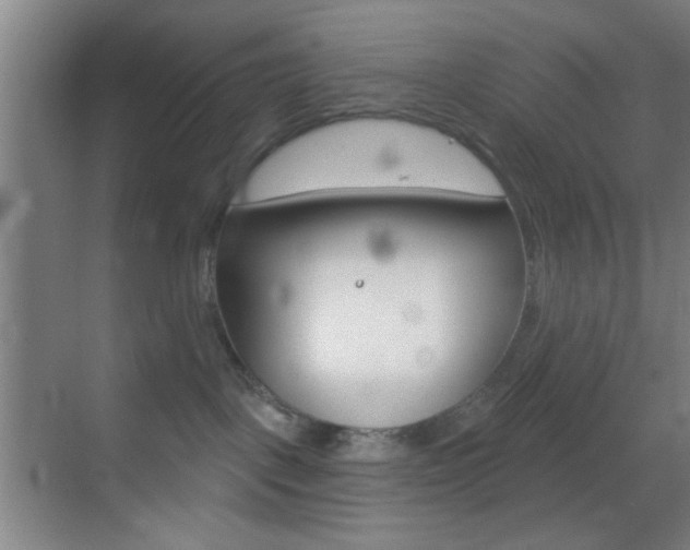 X0000069790093200605190855