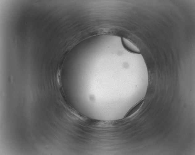 X0000069790094200605190855