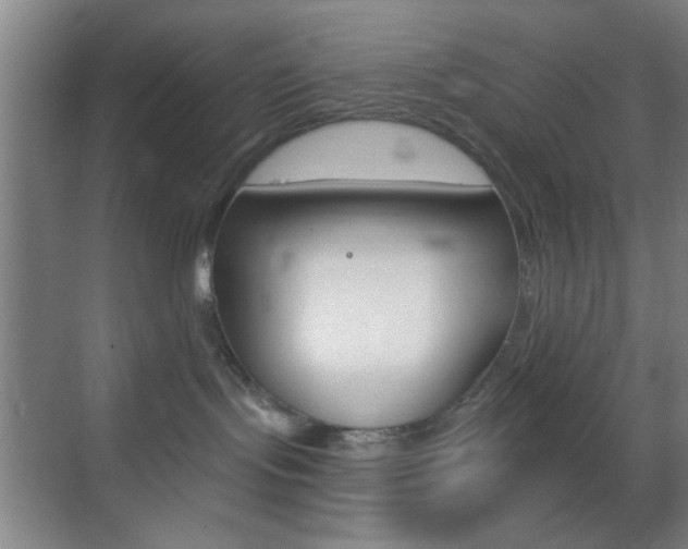 X0000069790095200605190855