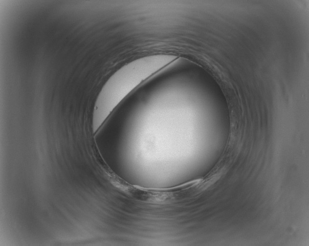 X0000069790096200605190855