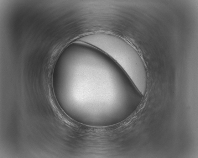 X0000069790097200605190854