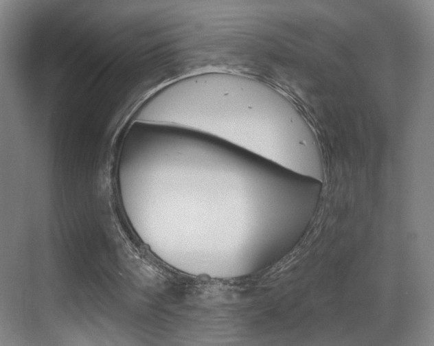 X0000069790098200605190854