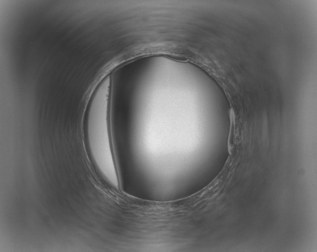 X0000069790099200605190854