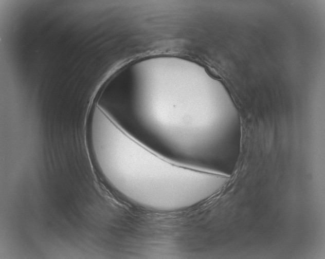 X0000069790100200605190854