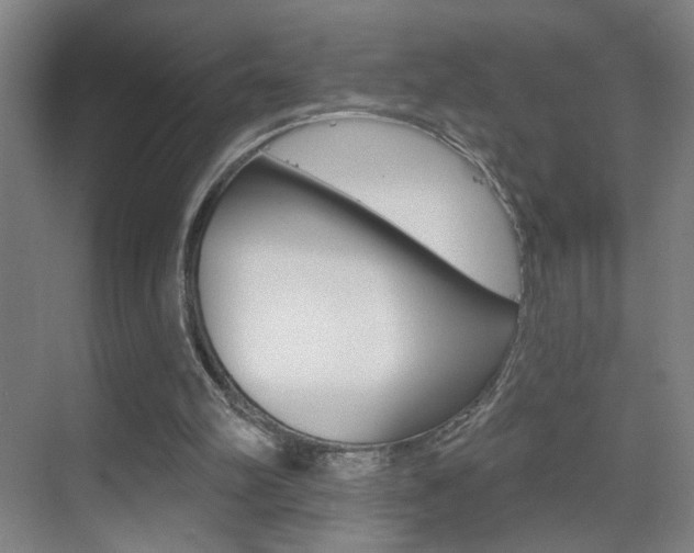 X0000069790102200605190854