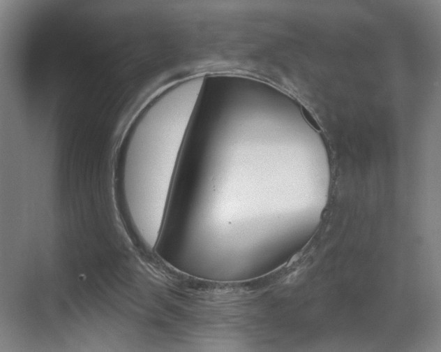 X0000069790103200605190854